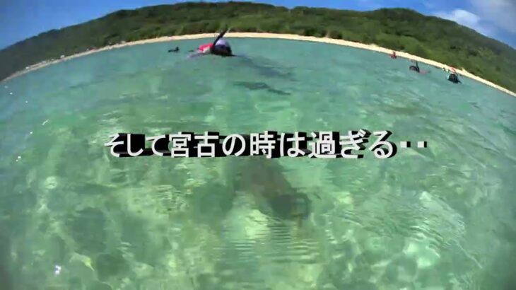 2023年 宮古島の新城海岸で出逢う       　　　　　　　　でぇ、何に？