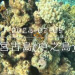 2023年 宮古島(中之島)バブルリング連発回！