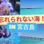 2023年 感動級の宮古島の海🌊たっぷりと母娘で楽しんできたよ😉❣️