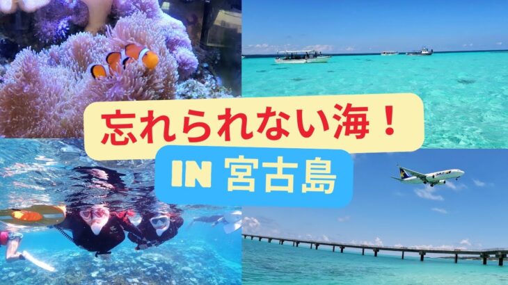 2023年 感動級の宮古島の海🌊たっぷりと母娘で楽しんできたよ😉❣️