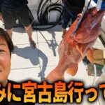 2023年 夏休みのはずがとんでもない釣果あげてしまうパンチの宮古島帰省釣行