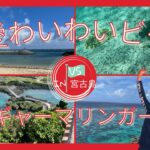 2023年 【博愛わいわいビーチv sイムギャーマリンガーデン（沖縄県宮古島）失敗しない解説付】初心者必見！ウミガメ ⁉️ 会えます👍 シュノーケリング海中動画有り 🐢駐車場は？シャワーは？👌😊🏝️