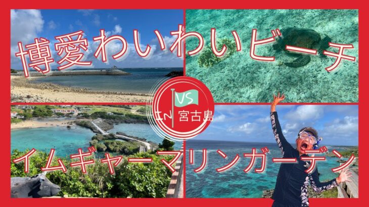 2023年 【博愛わいわいビーチv sイムギャーマリンガーデン（沖縄県宮古島）失敗しない解説付】初心者必見！ウミガメ ⁉️ 会えます👍 シュノーケリング海中動画有り 🐢駐車場は？シャワーは？👌😊🏝️