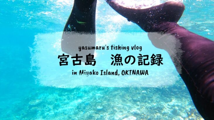 2023年 【沖縄・宮古島の海2024】漁の記録8月 今日も海へ fishing VLOG