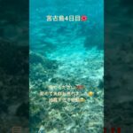 2023年 【宮古島】初めての宮古島4日目😆初めての魚群に感動🥹 #宮古島 #沖縄旅行 #おすすめ