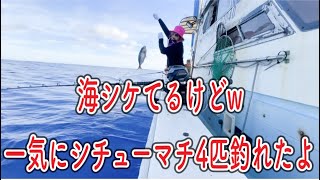 2023年 透明度高いけど荒波の宮古島の海でシチューマチ4匹一気釣りー٩( ‘ω’ )و #宮古島 #fishing