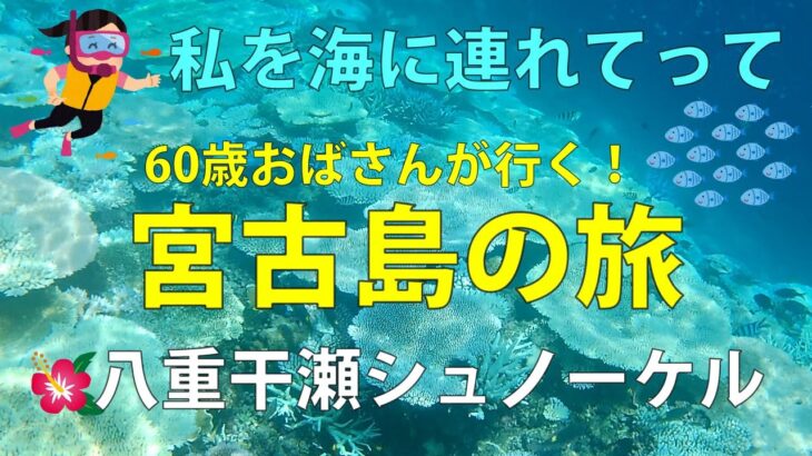 2023年 【前編】私を海に連れてって🌺60歳おばさんが行く！宮古島2泊3日の旅🐟八重干瀬シュノーケルツアーとクリスタルヴィラ宮古島砂山ビーチ