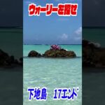 2023年 実写版ウォーリーを探せ！in宮古島　17エンド　#shorts