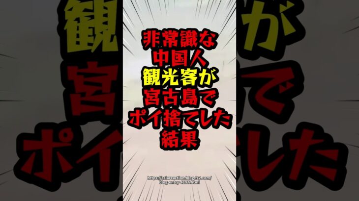 2023年 非常識な中国人観光客が宮古島でポイ捨てした結果　#海外の反応 #中国