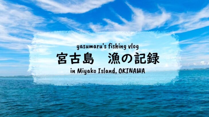 2023年 【沖縄・宮古島の海2024】漁の記録9月 イカ漁タコ漁 fishing VLOG