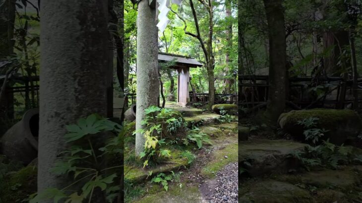 【五所駒瀧神社・参道】鬼滅の刃に出てきそうな境内 #桜川市 #江戸時代の建築 #真壁 #茨城観光 #茨城県 #パワースポット   #パワースポット巡り #真壁町