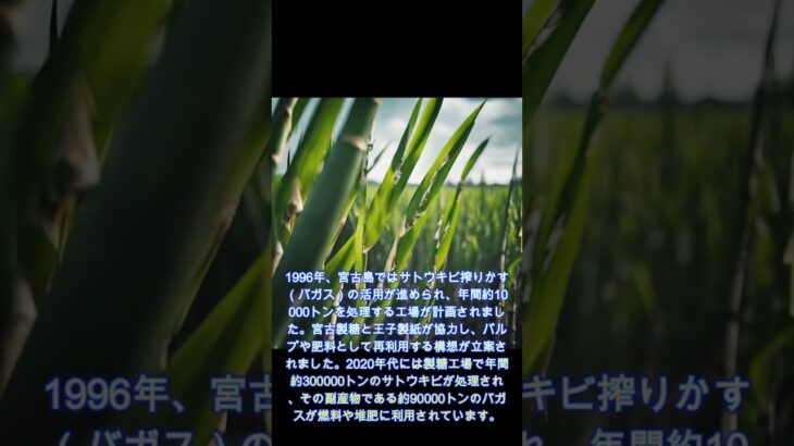 2023年 【環境問題の解説】#29 宮古島のサトウキビ活用史　1996年12月 #環境問題　#エコロジー