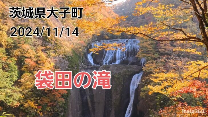 🍁[HD]2024/11/14 袋田の滝 紅葉始まる 茨城県大子町 ダイジェスト版