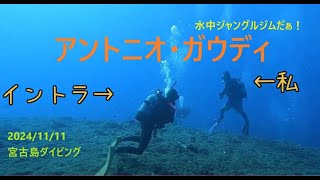 2023年 アントニオ・ガウディ 再訪 宮古島 Part3