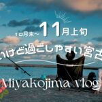 2023年 【日常vlog】秋の宮古島🍁リゾートホテルのランチブッフェ🌺夜アイス🍦釣りから始まる島民の日曜日🎣