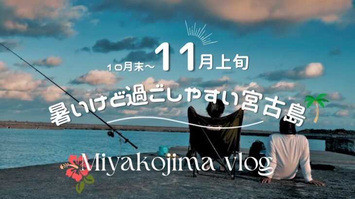 2023年 【日常vlog】秋の宮古島🍁リゾートホテルのランチブッフェ🌺夜アイス🍦釣りから始まる島民の日曜日🎣