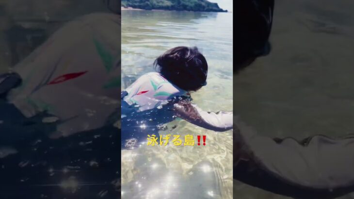 2023年 海ガメと一緒に泳ぐ5歳児‼️ #宮古島