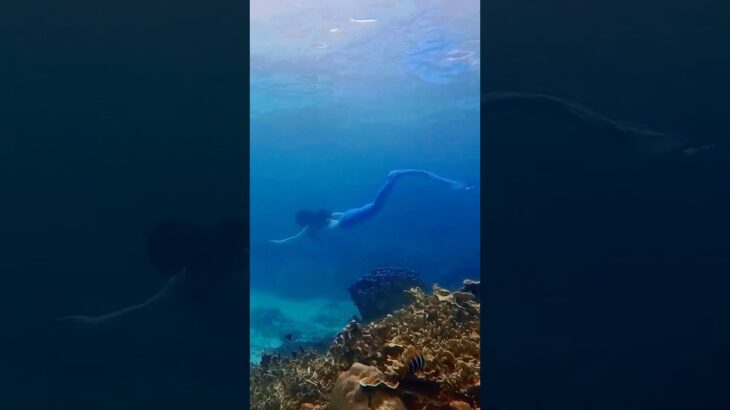 2023年 ついに海デビュー🧜🏻‍♀️🌊#marmaid #マーメイド #宮古島 #宮古島ダイビング #underthesea #mermaidswimming #ariel #アリエル #okinawa