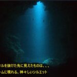 2023年 宮古島ダイビング「魔王の宮殿」with カピリナ 2025 6 23