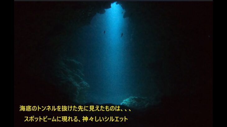 2023年 宮古島ダイビング「魔王の宮殿」with カピリナ 2025 6 23