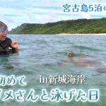 2023年 【#11】宮古島🐢ウミガメさんと泳げた日in新城海岸｜東平安名崎｜お安め宿 ホテルしおんの海｜パイナガマビーチサンセット｜やっぱりステーキ 宮古島5泊旅行day4