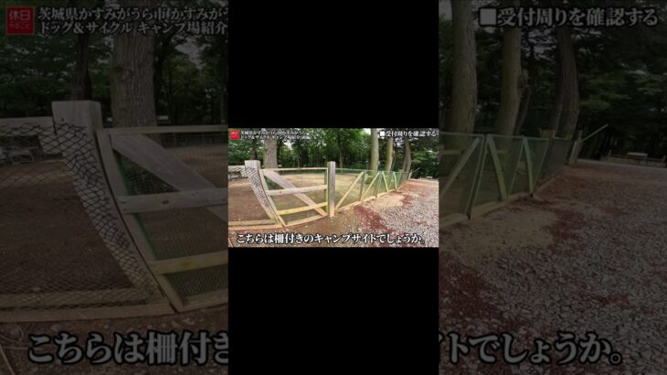 1770-4【キャンプ】【4K】2021年オープンキャンプ場！茨城県かすみがうら市 かすみがうらドッグ＆サイクル キャンプ場紹介(前編) #shorts