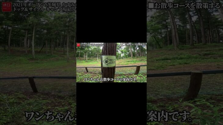 1770-5【キャンプ】【4K】2021年オープンキャンプ場！茨城県かすみがうら市 かすみがうらドッグ＆サイクル キャンプ場紹介(中編) #shorts