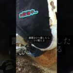 2023年 チューブ巻き取り機制作中2#宮古島 #沖縄 #灌水チューブ#農機具#農業#台風#関税#日曜日