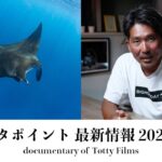 2023年 【宮古島】新マンタポイント最新情報 – 2025年7月