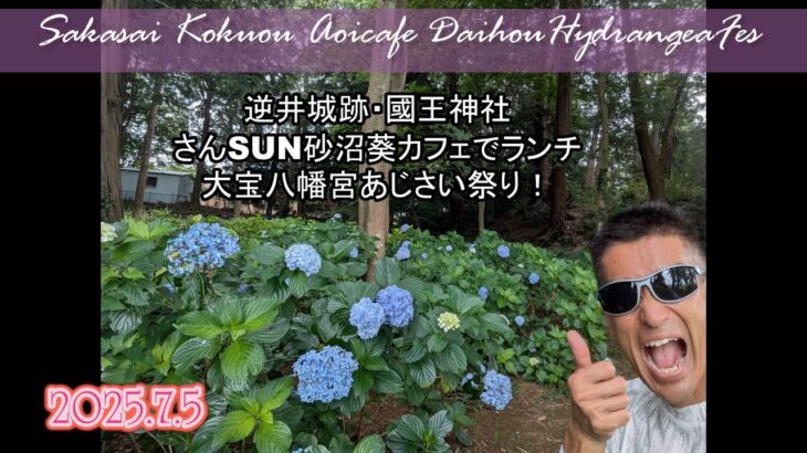 250706（茨城県観光）逆井城跡～國王神社～さんSUN砂沼の葵カフェでランチ～大宝八幡宮あじさい祭り#いばらき観光 #茨城観光 #坂東市観光 #下妻観光 #あじさいまつり