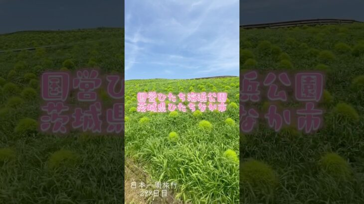 日本一周旅行299日目　国営ひたち海浜公園　茨城県ひたちなか市