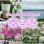 2023年 【#7】宮古島🏝️来間島 南国なカフェPaniPani｜もんちゃんお買い物｜竜宮城展望台｜ユートピアファームのお花と果物 宮古島5泊観光day3