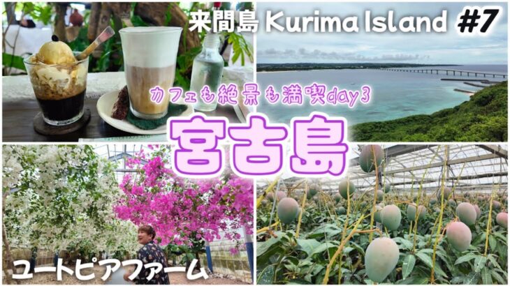 2023年 【#7】宮古島🏝️来間島 南国なカフェPaniPani｜もんちゃんお買い物｜竜宮城展望台｜ユートピアファームのお花と果物 宮古島5泊観光day3