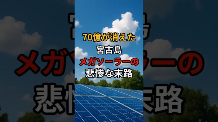 2023年 70億円が消えた宮古島メガソーラーの悲惨な末路