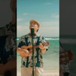 2023年 三線の花／BEGIN (宮古島ウクレレカバー) 宮古島の絶景×音楽(ウクレレ) フルはチャンネルにて公開中🌺✨