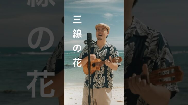 2023年 三線の花／BEGIN (宮古島ウクレレカバー) フルはチャンネルにて公開中🎥 #ウクレレシンガー #宮古島 #三線の花 #begin #沖縄歌 #沖縄三線 #ウクレレシンガーmasa