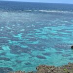 2023年 宮古島の美しい海、また行きたいMiyakojima Imgyaa Marine Garden #youtubevideo #foryou #beach #coral #miyakojima #love