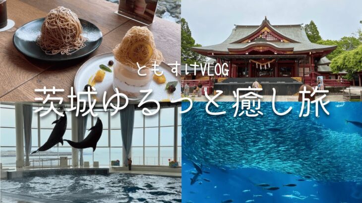 【Trip vlog】モンブランと海の生き物を楽しむ茨城旅｜笠間稲荷神社🦊｜kasamarron cafe🌰｜アクアワールド大洗水族館🐬｜那珂湊周辺