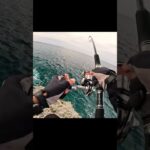 2023年 現実を受け止める事ができません…#釣り #fishing #ルアーフィッシング  #宮古島