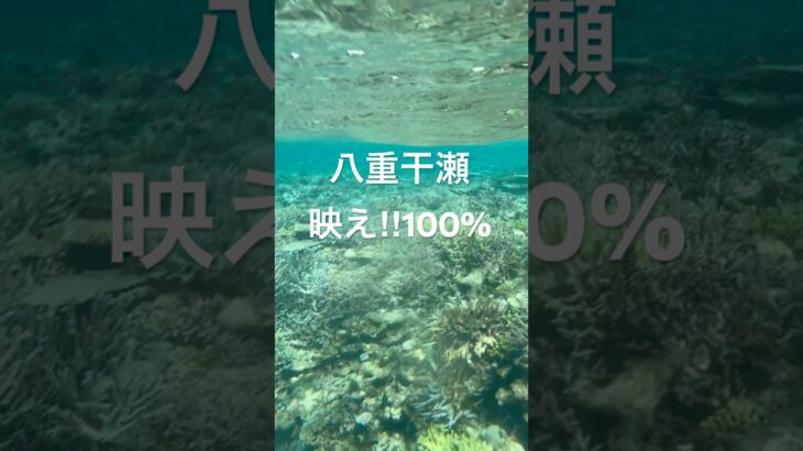 2023年 まるで宇宙。池間島・八重干瀬の海中世界#池間島 #八重干瀬 #海の中の宇宙 #サンゴ礁 #絶景ショート #miyakojima #coralreef #vlog #travel #宮古島 #沖縄旅行