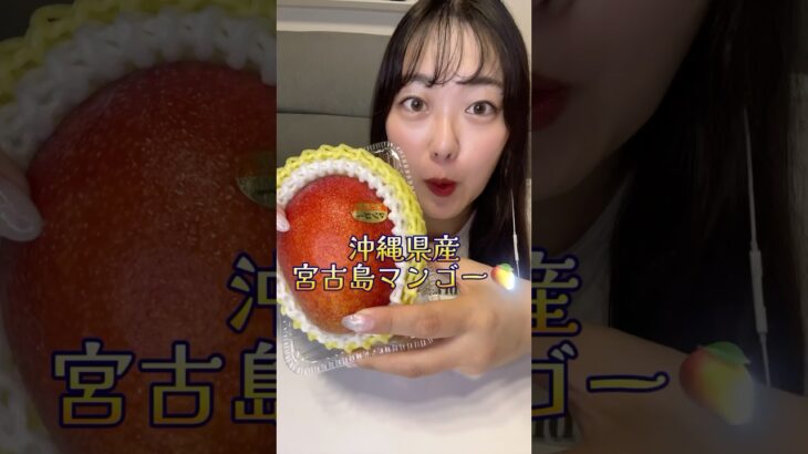 2023年 超濃厚でジューシーな宮古島マンゴー🥭#shorts #eating #mukbang#妄想全国フェア#マンゴー