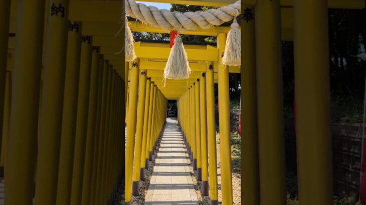 素晴らしき茨城trip　#神社 #避暑地 #海