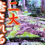 【神秘】茨城県常陸大宮で絶対行くべき二大神社とは！？