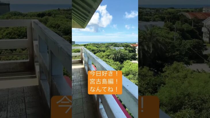 2023年 景色良すぎ！