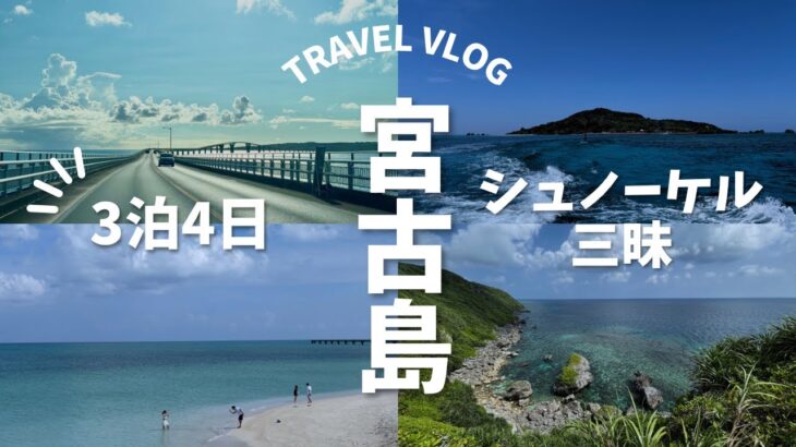 2023年 🇯🇵宮古島へシュノーケル旅行🤿