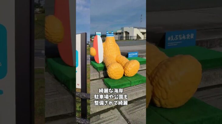 仙台サーフトリップ!!まずは茨城で生徒さんとセッションです！茨城海の子です駐車代はかかりますが広くて着替えやすい無風て楽しめました!サーフィンの後はカフェへ茨城ソーセージのホットドックかなり美味い