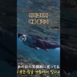 2023年 미야코지마宮古島 여행 즐기기