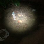 2023年 宮古島のヤエヤマイシガメ採集