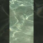 2023年 海の模様 #沖縄 #宮古島 #アコギ #インスト #音楽 #自然