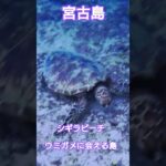 2023年 宮古島シギラビーチ